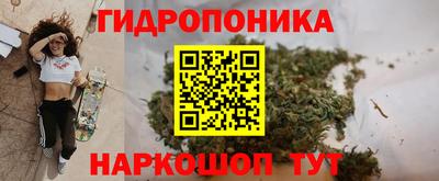 СК Лесосибирск
