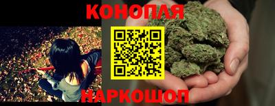 СК Лесосибирск
