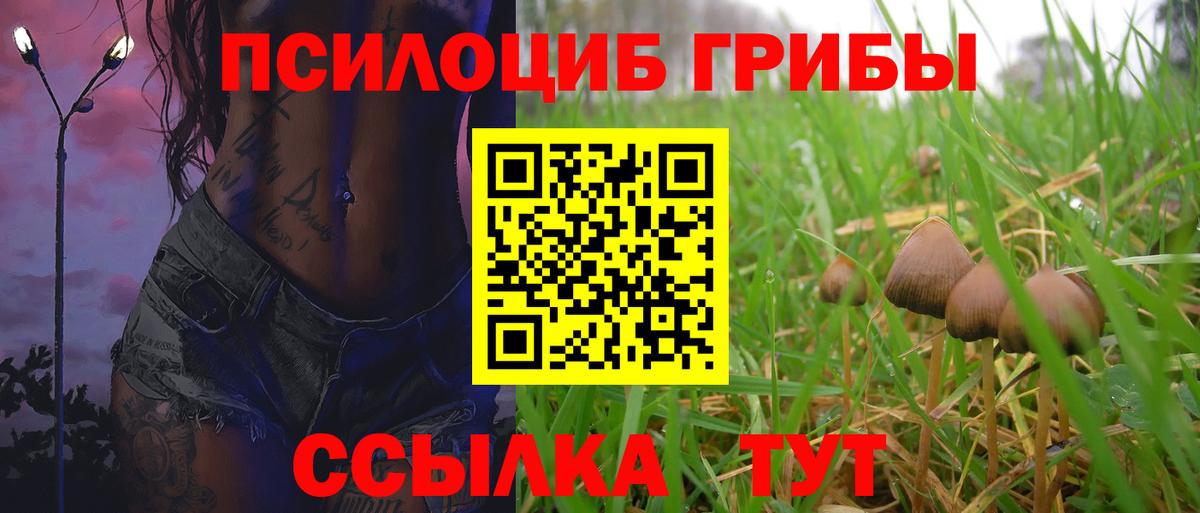 Псилоцибиновые грибы мухоморы Вязники