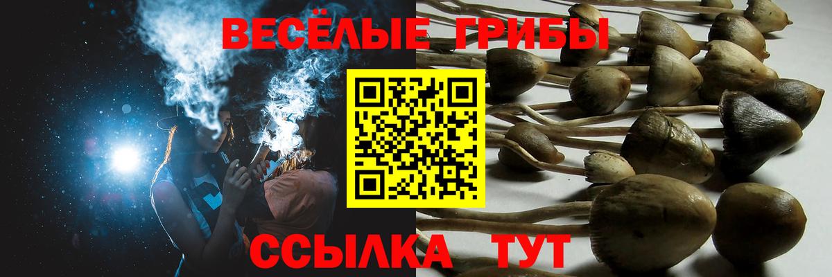дарнет шоп  Галлюциногенные грибы GOLDEN TEACHER  Вход с VPN  Вязники 